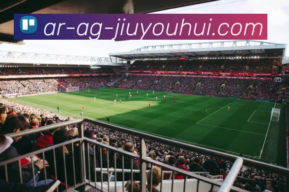 AG九游会官网平台生态图